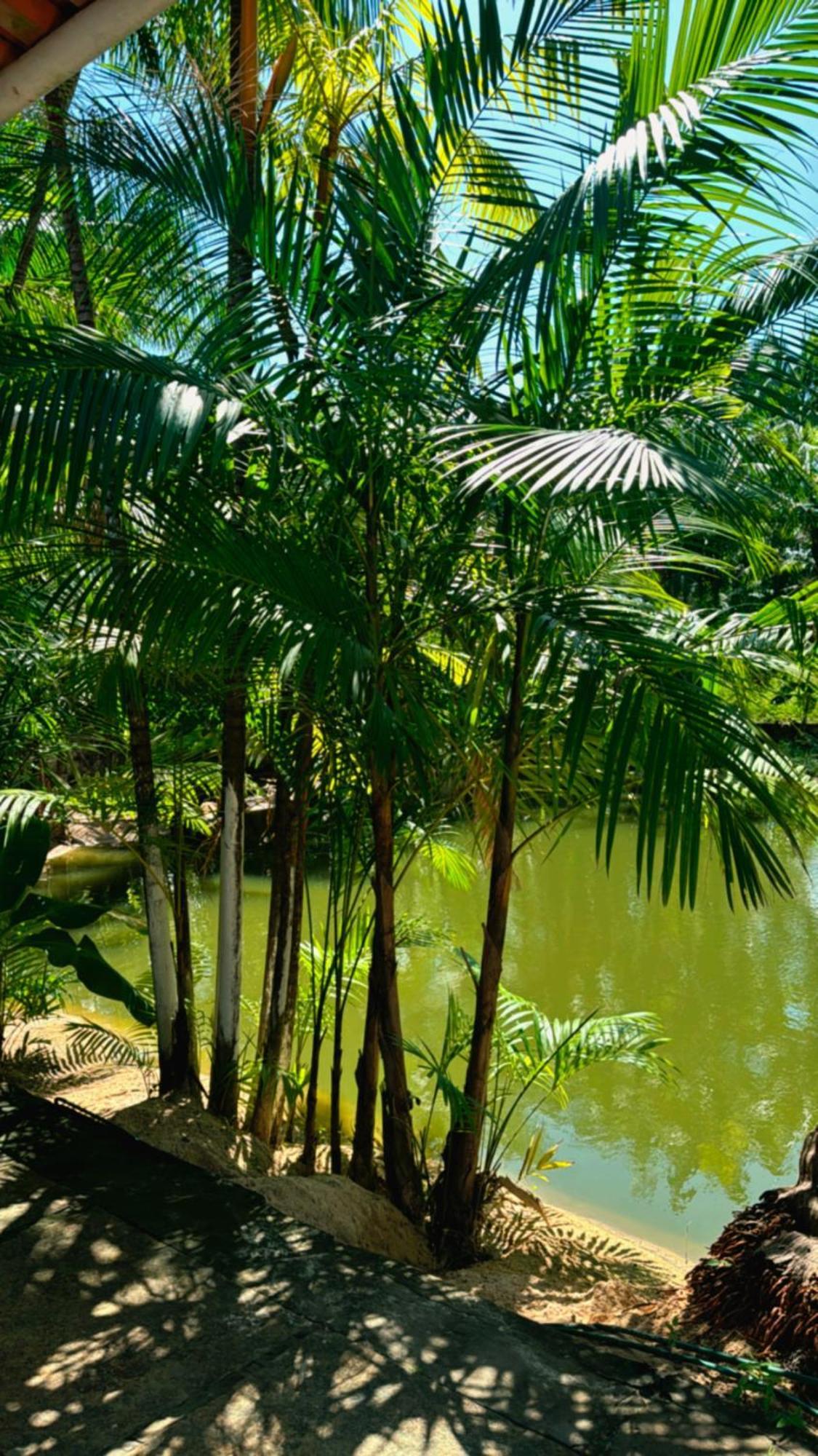 Pousada Beira Rio Barrerinhas Hotel Барейриняс Екстериор снимка