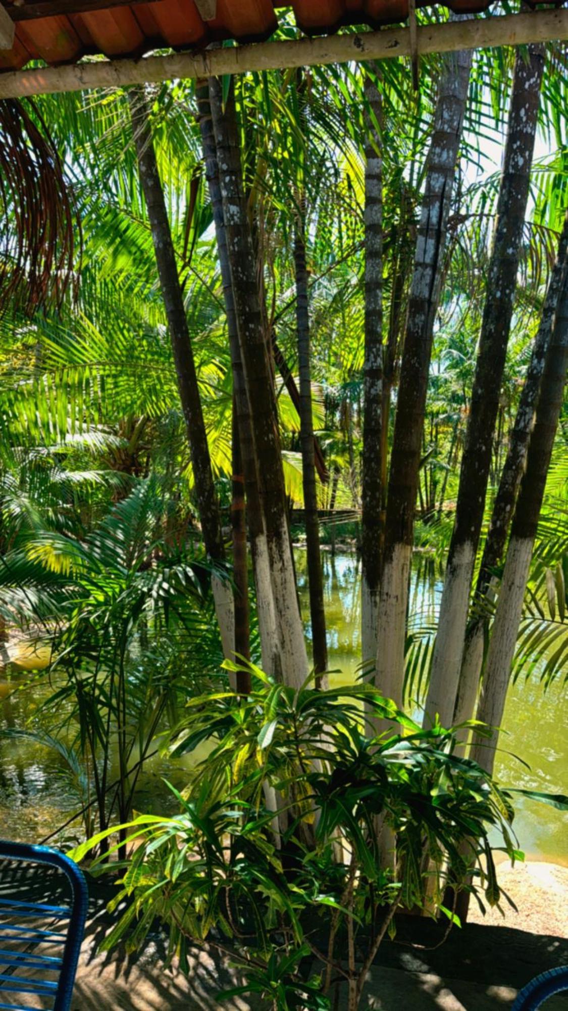 Pousada Beira Rio Barrerinhas Hotel Барейриняс Екстериор снимка